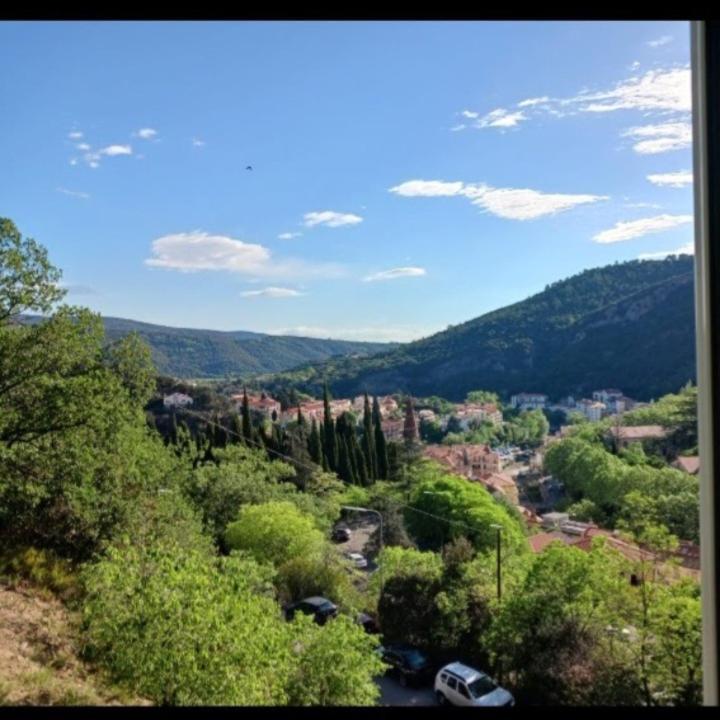 Las Tortoras Apartment Amelie-les-Bains-Palalda Luaran gambar